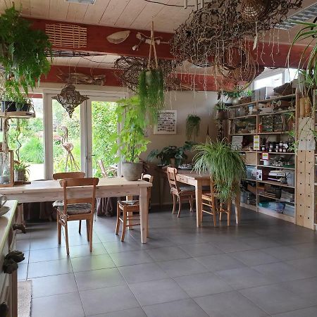 Appartementen Het Oude Atelier Schoorl Kültér fotó