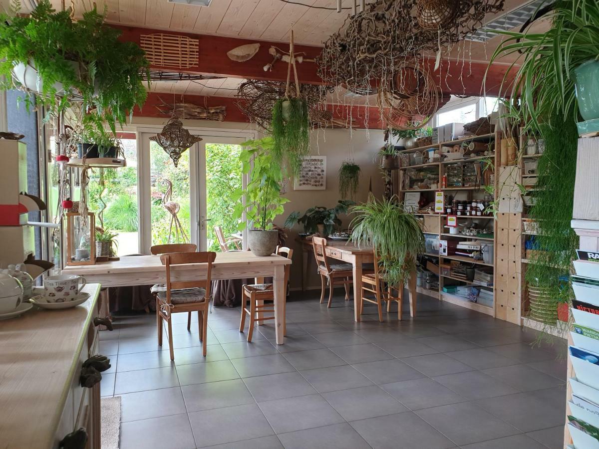 Appartementen Het Oude Atelier Schoorl Kültér fotó